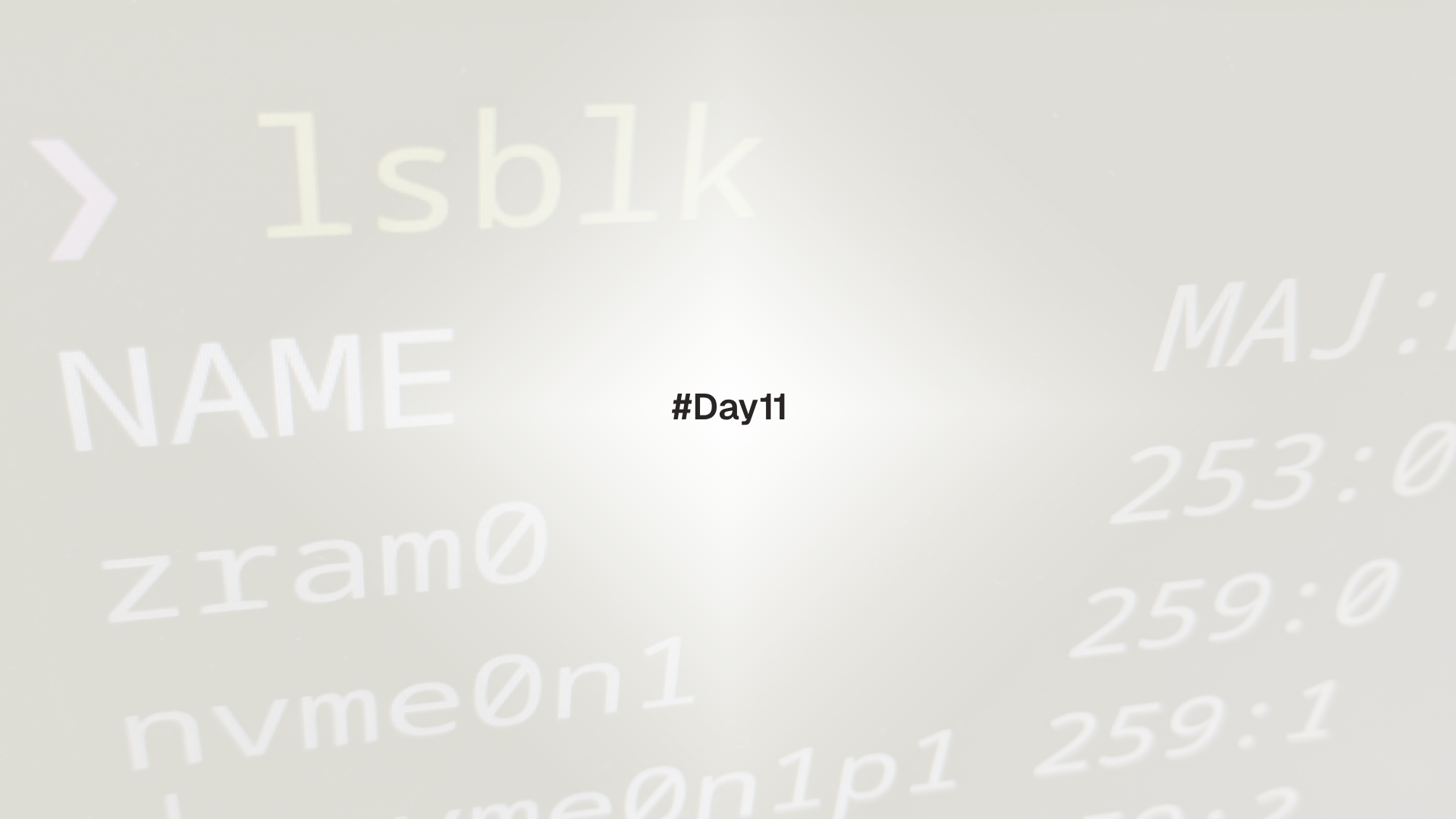 Day11 lsblk