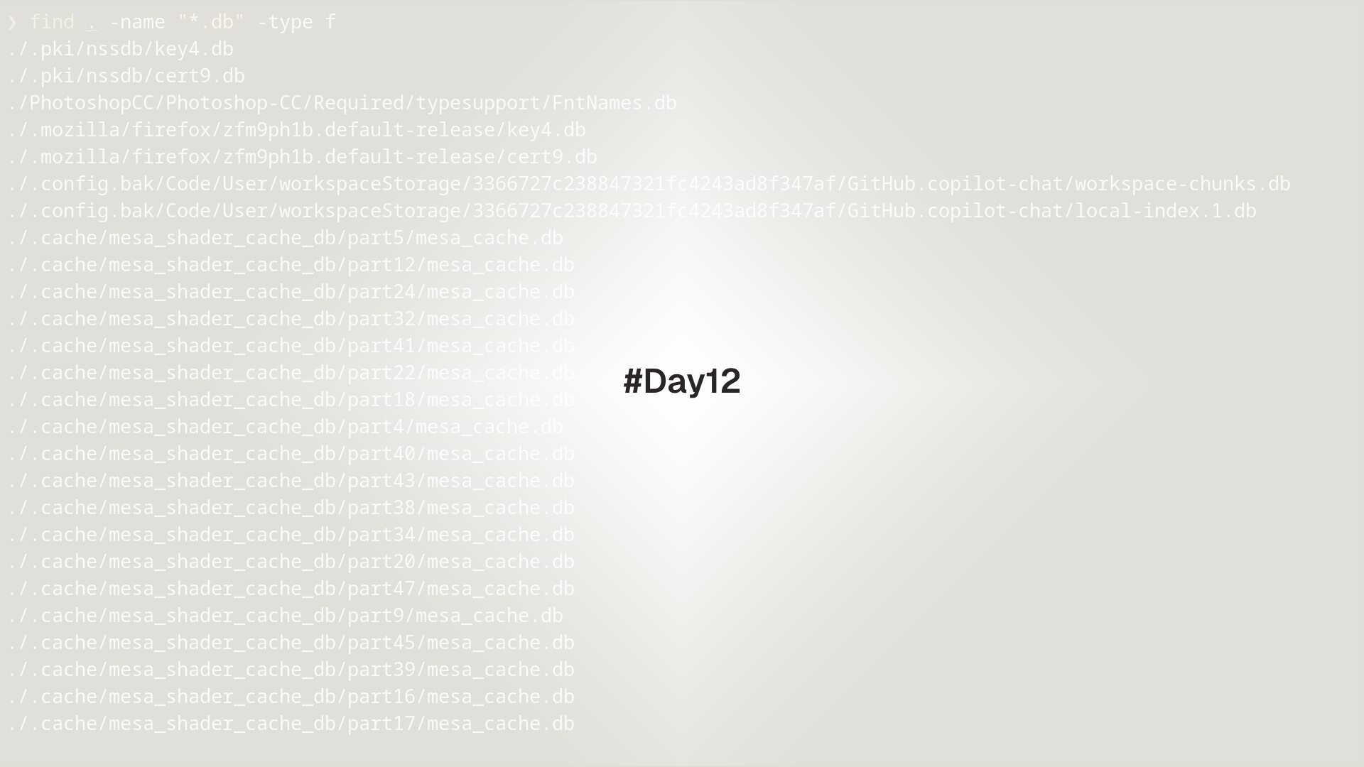 Day13 find